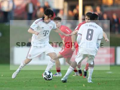 Bild-ID: 2585419