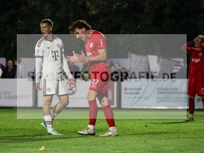 Bild-ID: 2585491