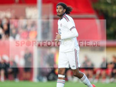 Bild-ID: 2585520
