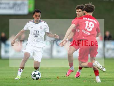 Bild-ID: 2585543