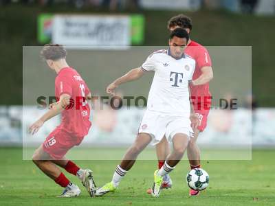 Bild-ID: 2585544