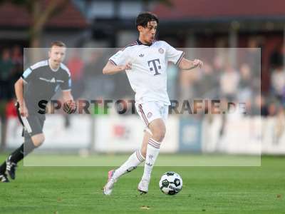 Bild-ID: 2585547