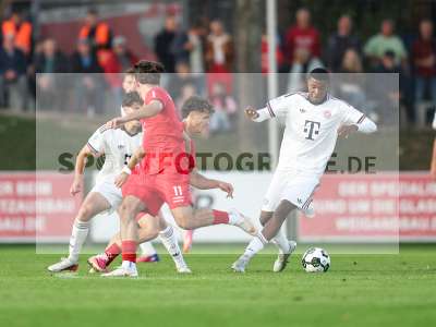 Bild-ID: 2585589