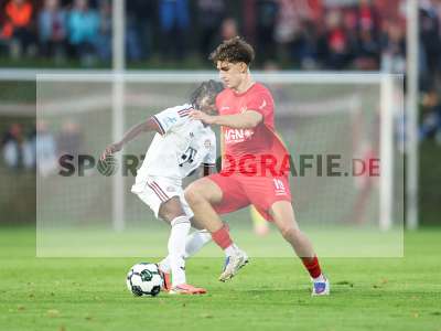 Bild-ID: 2585611