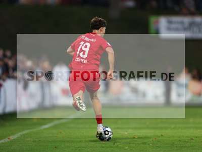 Bild-ID: 2585648