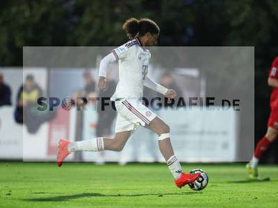 Bild-ID: 2585684