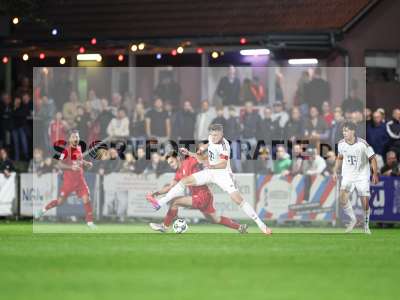 Bild-ID: 2585726