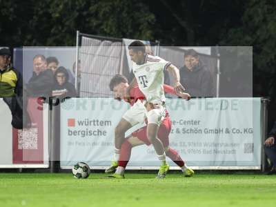 Bild-ID: 2585731