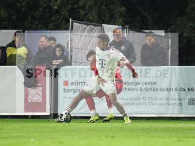 Bild-ID: 2585734