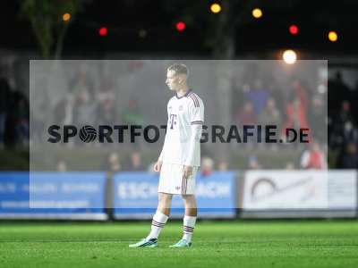 Bild-ID: 2585735