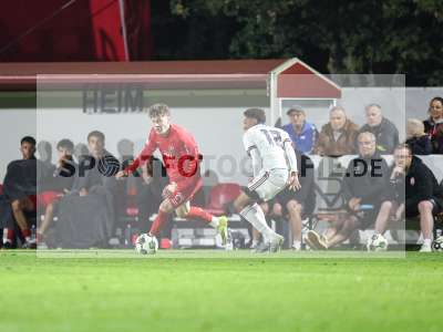 Bild-ID: 2585770