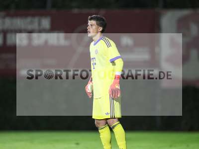 Bild-ID: 2585862