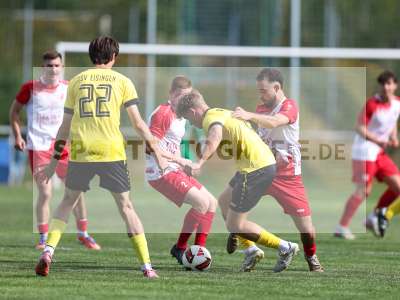 Bild-ID: 2586168