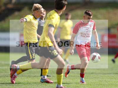 Bild-ID: 2586352