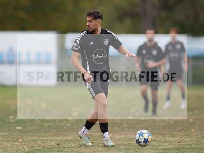Bild-ID: 2586406