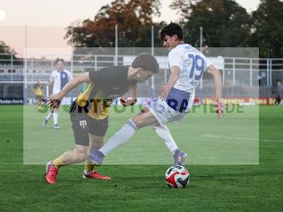 Bild-ID: 2586904