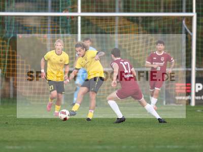 Bild-ID: 2588037