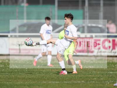 Bild-ID: 2588151