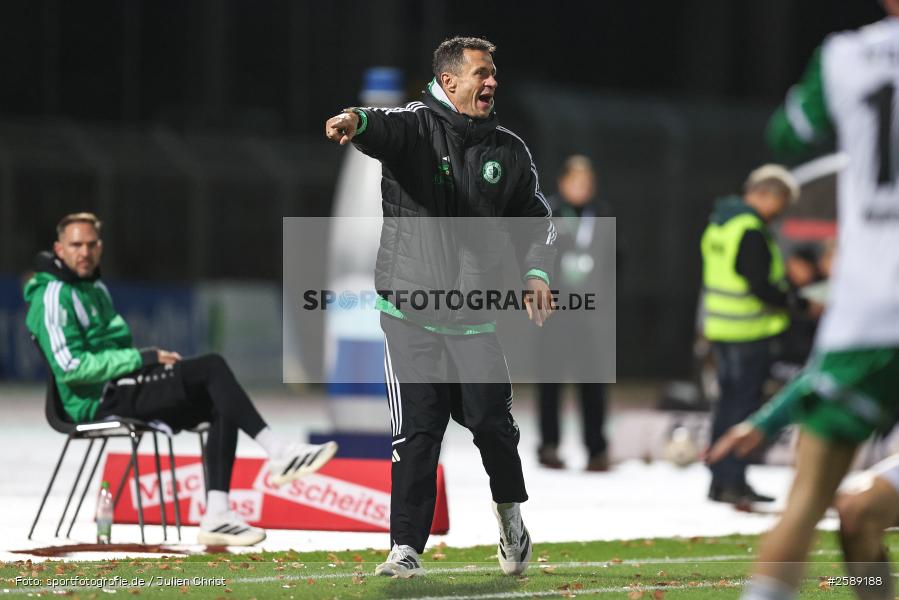 sport, Schweinfurt, Sachs-Stadion, SC Eltersdorf, Regionalliga Bayern, Fussball, BFV, 13. Spieltag, 1. FC Schweinfurt 1905, 09.10.2026 - Bild-ID: 2589188