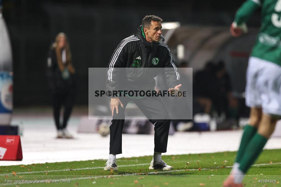 sport, Schweinfurt, Sachs-Stadion, SC Eltersdorf, Regionalliga Bayern, Fussball, BFV, 13. Spieltag, 1. FC Schweinfurt 1905, 09.10.2026 - Bild-ID: 2589320