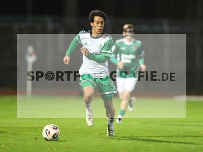 Bild-ID: 2589291