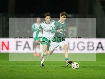 Bild-ID: 2589342