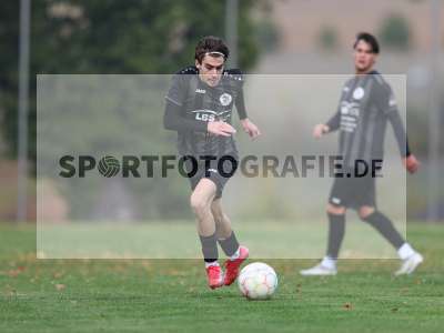 Bild-ID: 2590101