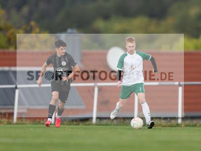 Bild-ID: 2590145