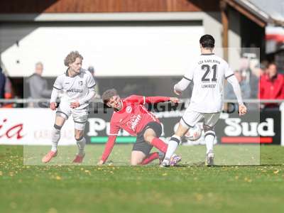 Bild-ID: 2590913