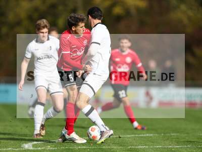 Bild-ID: 2590934