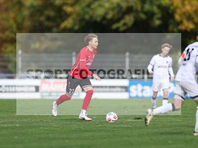 Bild-ID: 2590950