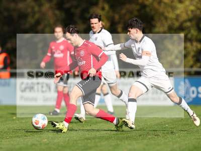 Bild-ID: 2590954