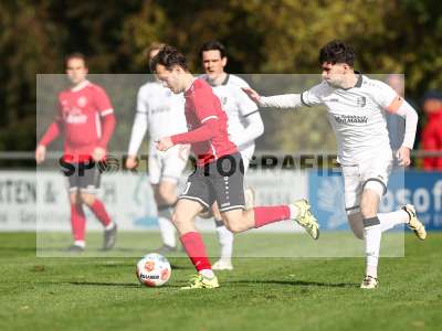Bild-ID: 2590955