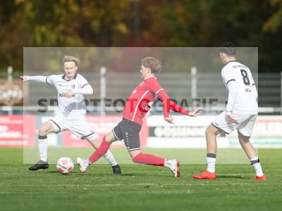 Bild-ID: 2590961