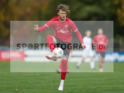 Bild-ID: 2590974