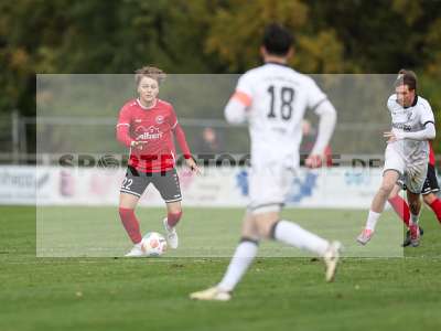 Bild-ID: 2590978