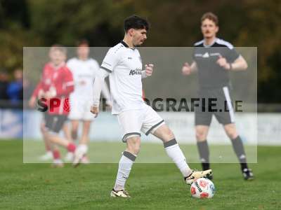 Bild-ID: 2590984