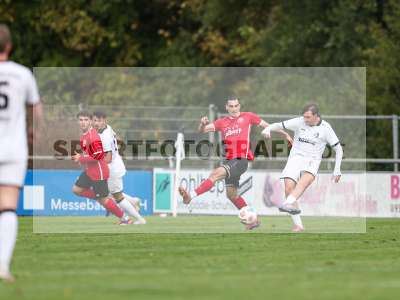 Bild-ID: 2591022