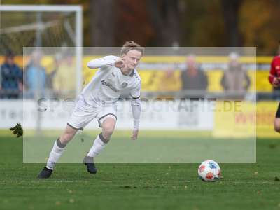 Bild-ID: 2591025