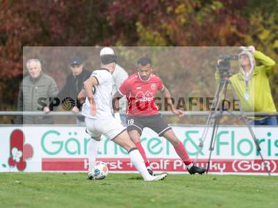 Bild-ID: 2591031