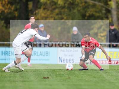 Bild-ID: 2591033