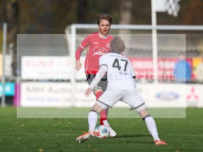 Bild-ID: 2591085