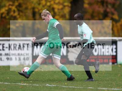 Bild-ID: 2591297